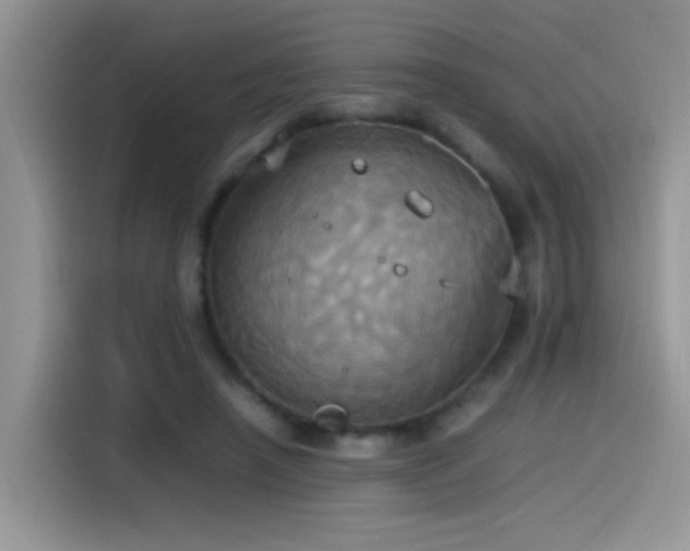 X0000115560450200911061556