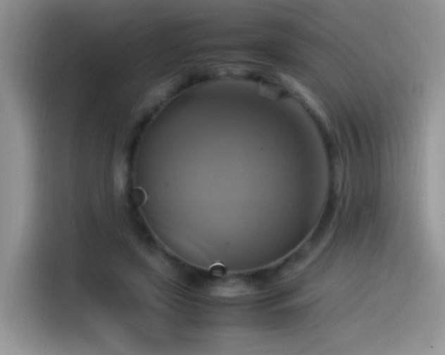 X0000115560451200911061556