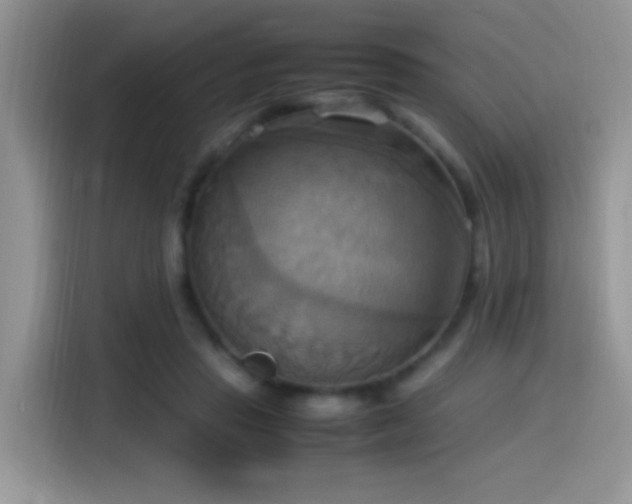 X0000115560453200911061556