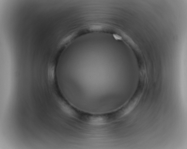 X0000115560454200911061556