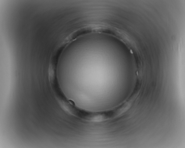X0000115560456200911061556