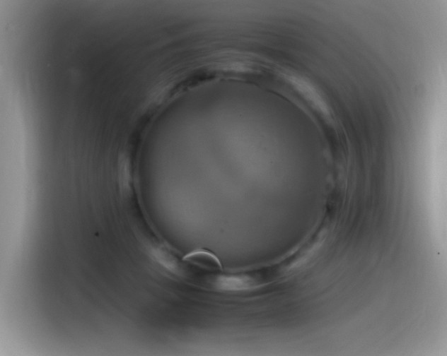 X0000115560457200911061556