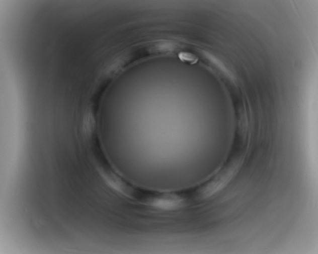 X0000115560459200911061556