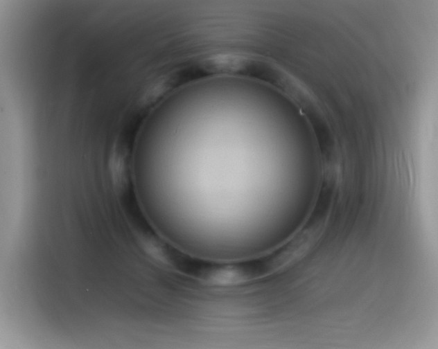 X0000115560460200911061556