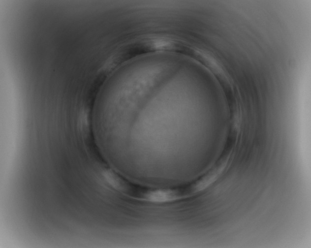 X0000115560461200911061556