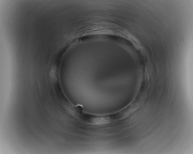 X0000115560465200911061556