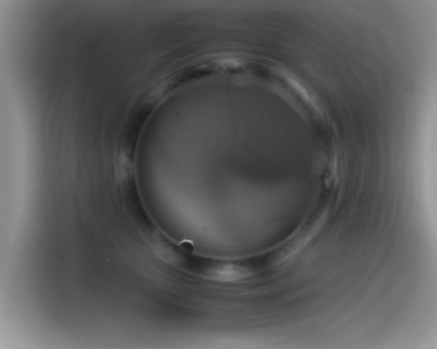 X0000115560467200911061556
