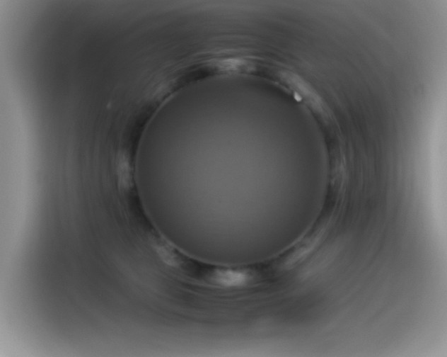 X0000115560469200911061556