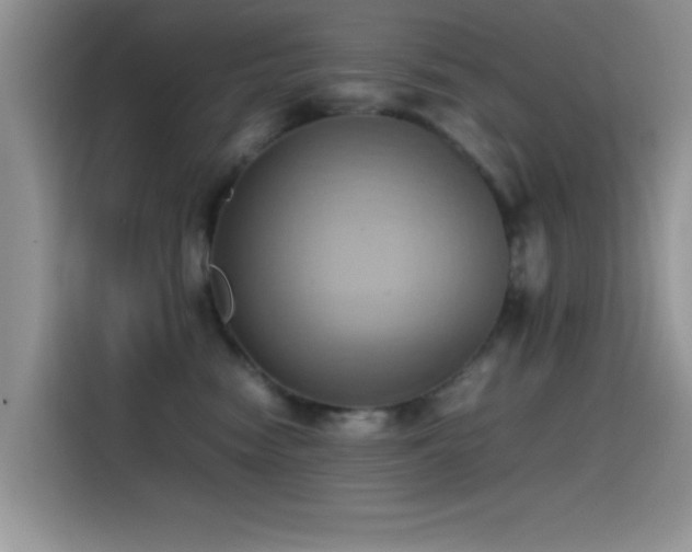 X0000115560474200911061557