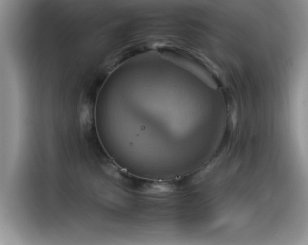 X0000115560475200911061557