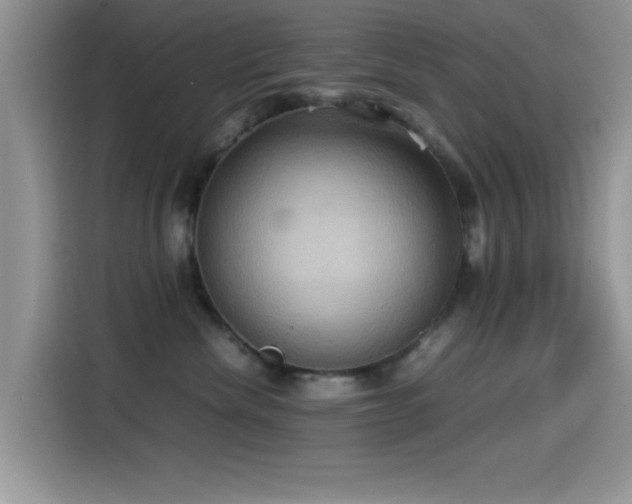 X0000115560476200911061557