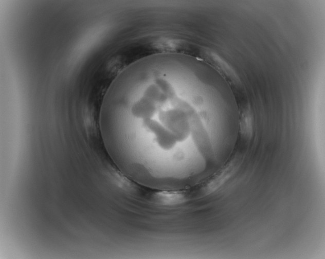 X0000115560477200911061557