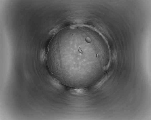 X0000115560478200911061557