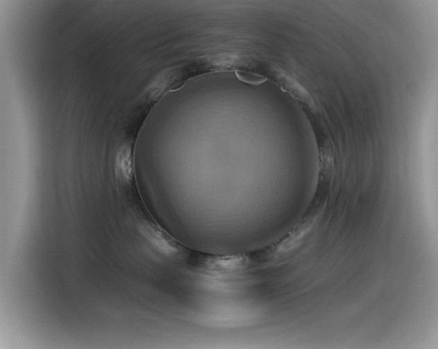 X0000115560479200911061557