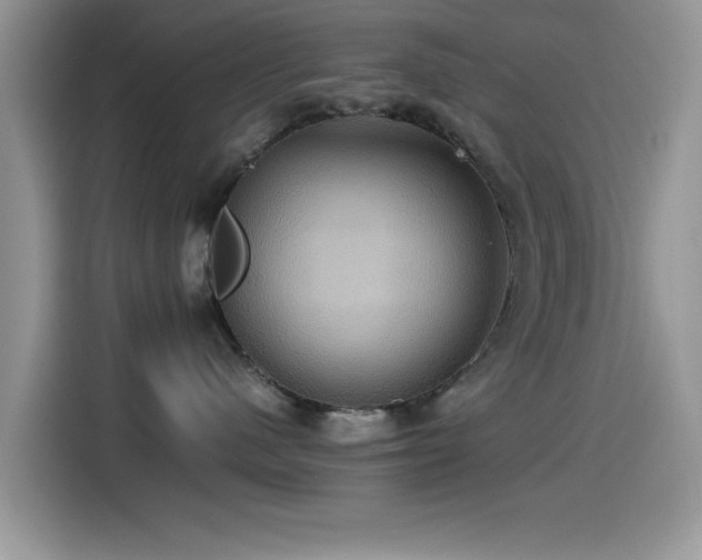 X0000115560480200911061557