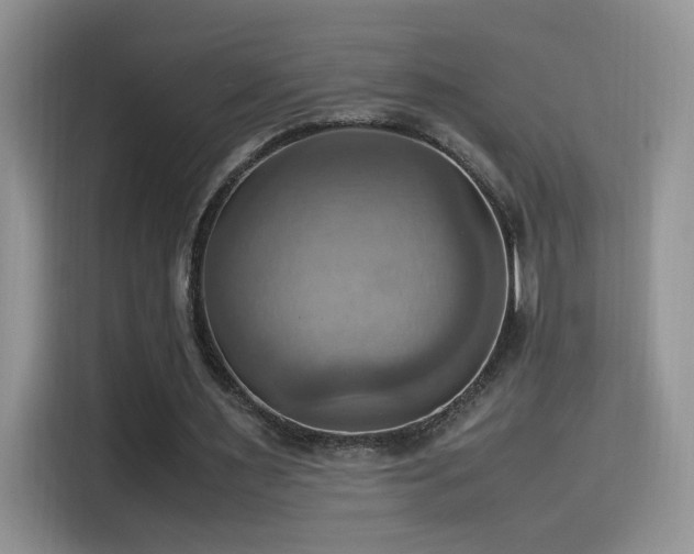 X0000115560483200911061556