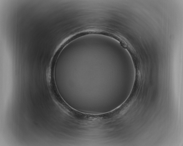 X0000115560484200911061556