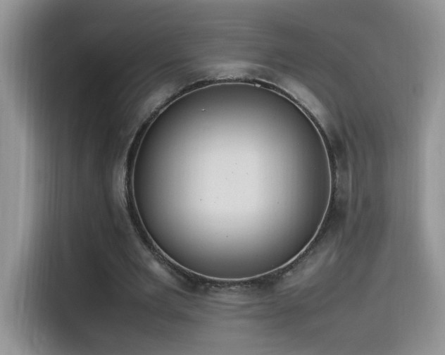 X0000115560485200911061556