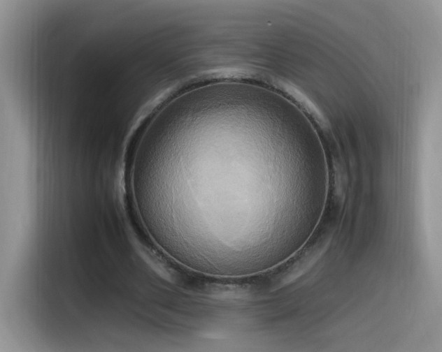 X0000115560486200911061556