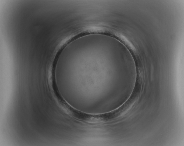 X0000115560487200911061556