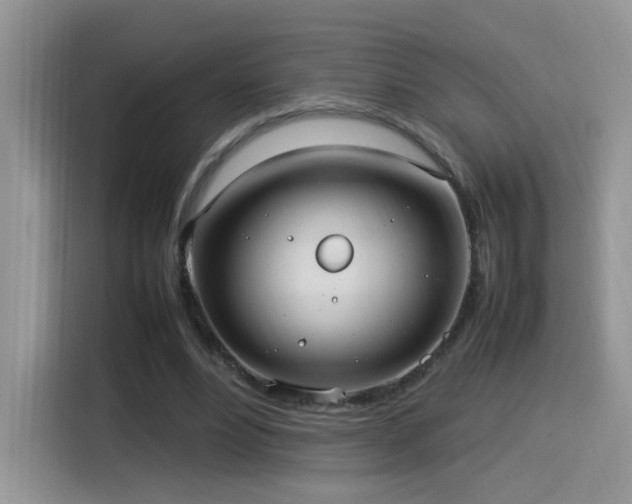 X0000115560488200911061556