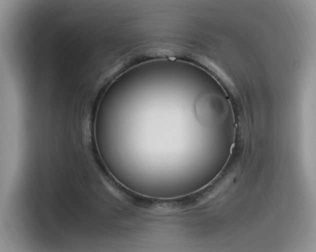 X0000115560489200911061556