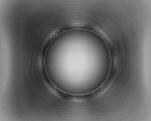 X0000115560490200911061556