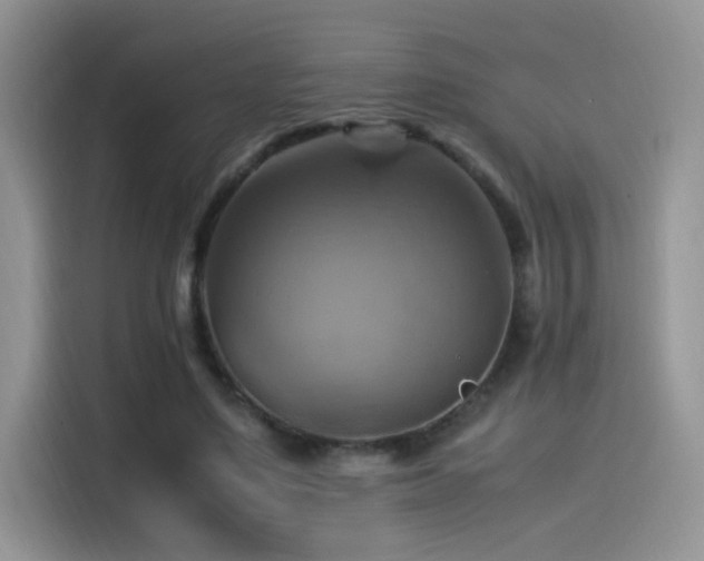 X0000115560491200911061556