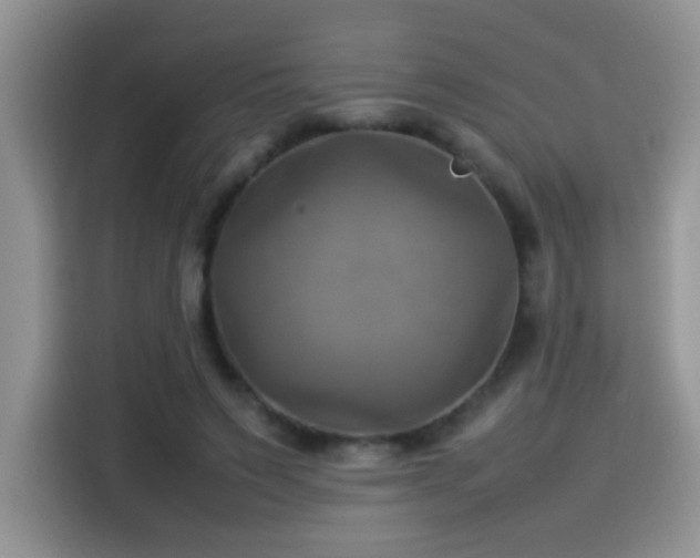 X0000115560495200911061556