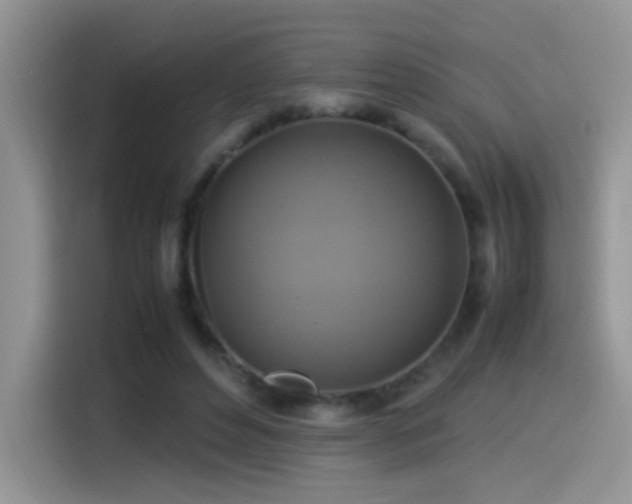X0000115560496200911061556