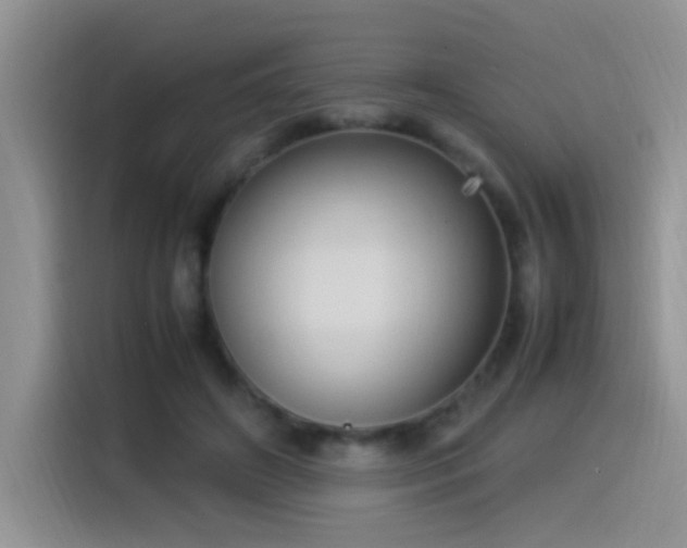 X0000115560498200911061556