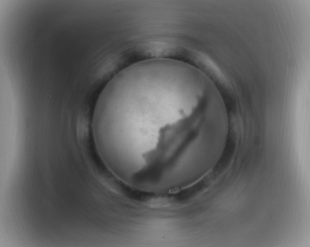 X0000115560499200911061556