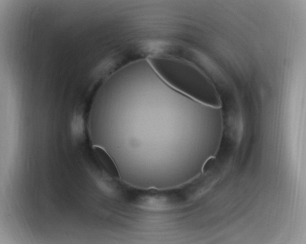 X0000115560500200911061556