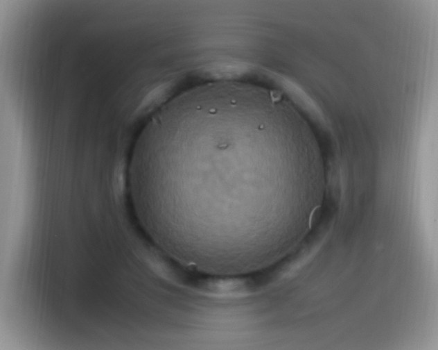 X0000115560501200911061556