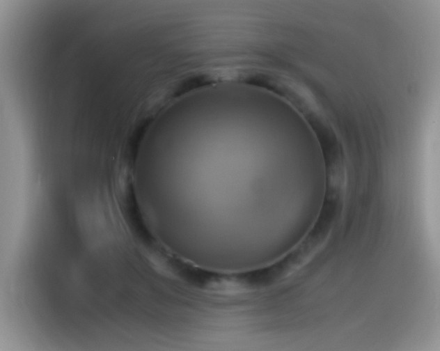 X0000115560503200911061556