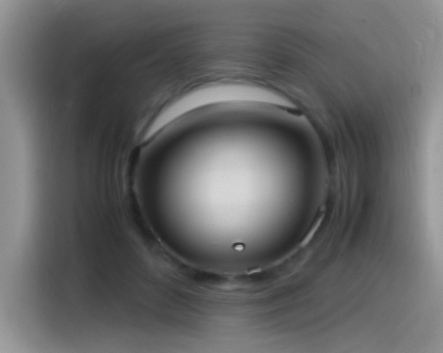 X0000115560504200911061556