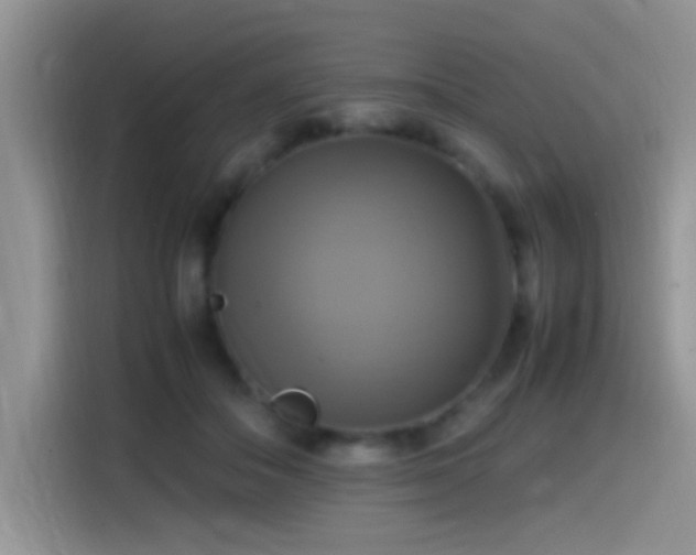 X0000115560506200911061556