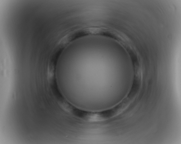 X0000115560507200911061556