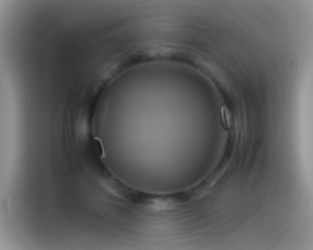 X0000115560508200911061556