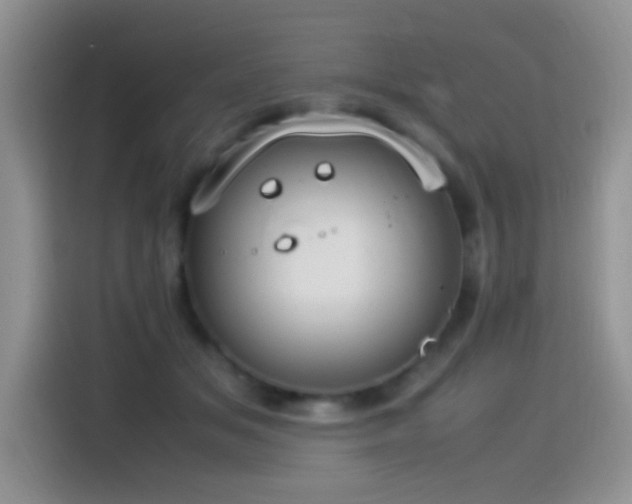 X0000115560509200911061556