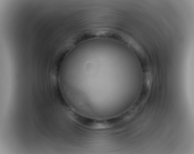 X0000115560510200911061556