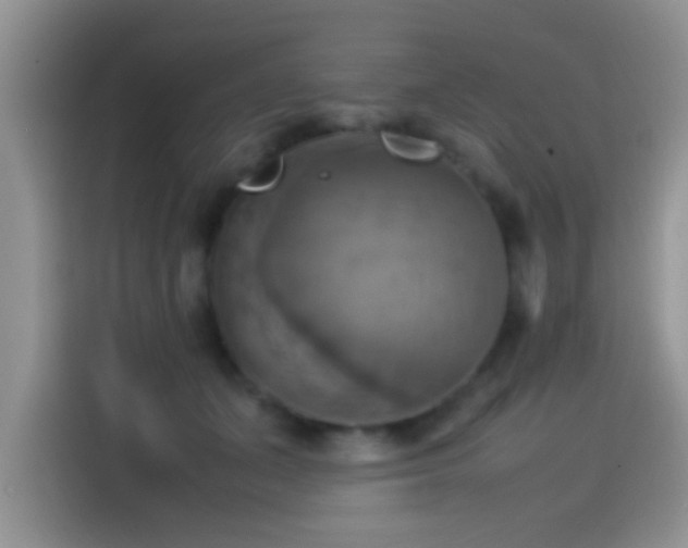X0000115560511200911061556