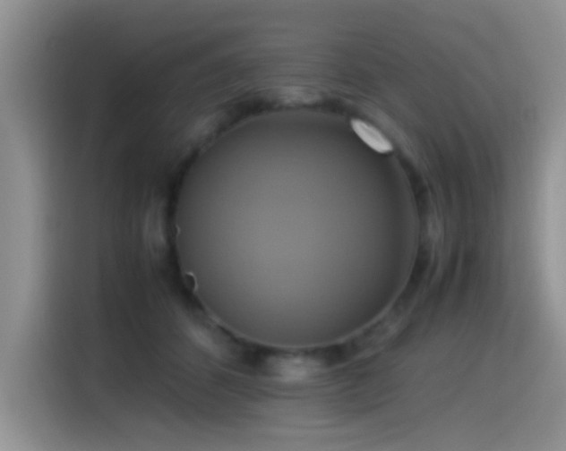 X0000115560512200911061556