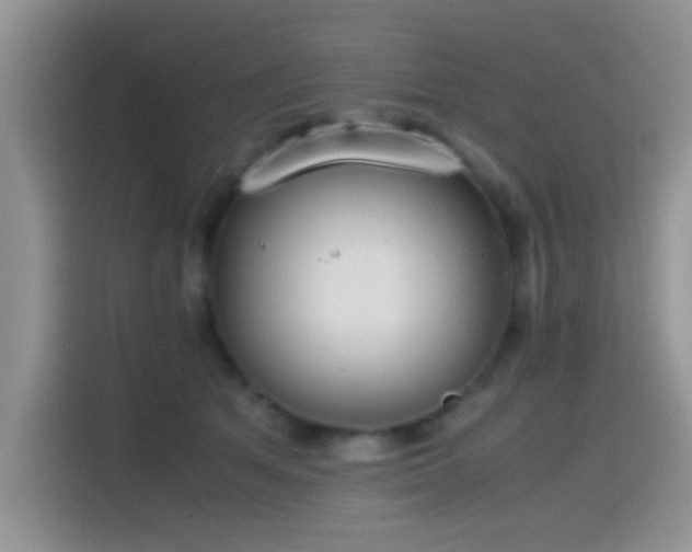 X0000115560513200911061556