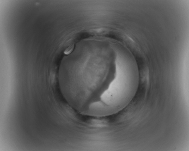 X0000115560515200911061556