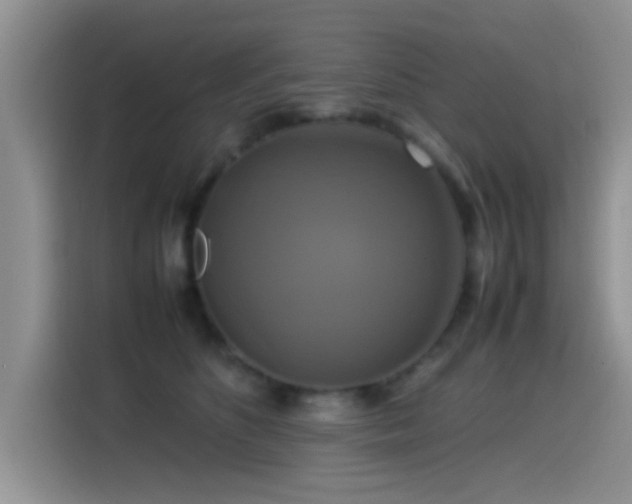 X0000115560516200911061556