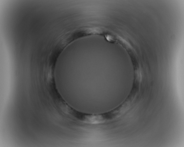 X0000115560517200911061556