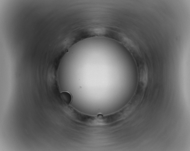 X0000115560518200911061556