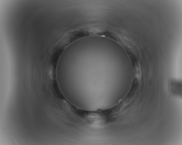 X0000115560519200911061556