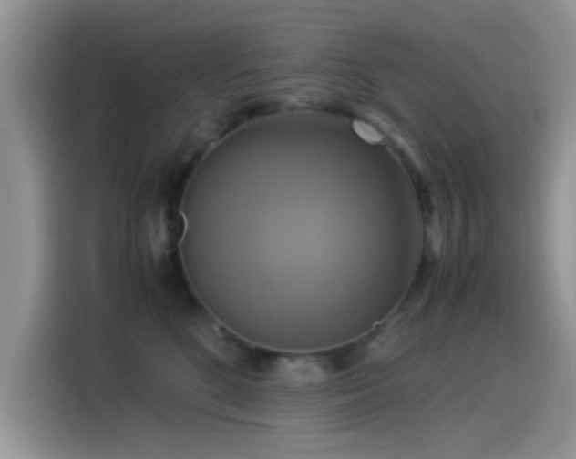 X0000115560520200911061555